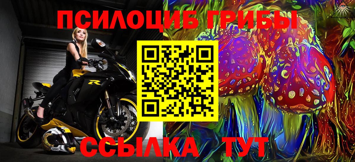 Глазов  Псилоцибиновые грибы мицелий  Вход с VPN 